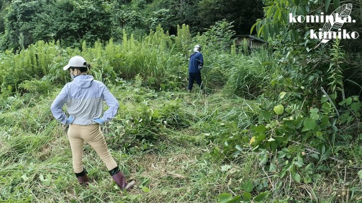 【古民家に住もう#182】荒れ果てたジャングル伐採＆伊勢神宮、倉敷美観地区観光。