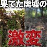 【スッキリ】荒れ果てた廃墟の庭が劇的に片付く‼︎【530日目】