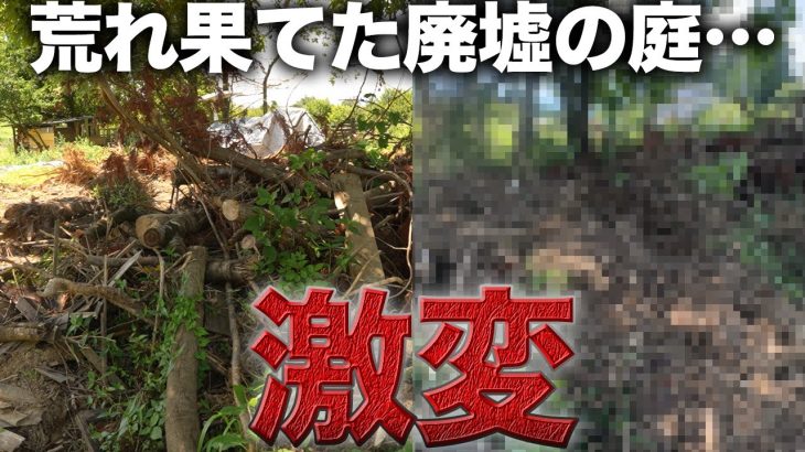 【スッキリ】荒れ果てた廃墟の庭が劇的に片付く‼︎【530日目】