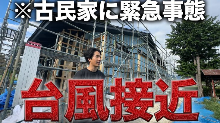 【台風対策】嵐の前の古民家再生…害虫によって庭の自然が大ピンチ!?【535日目】