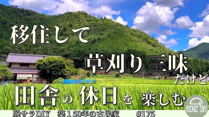 【脱サラ古民家DIY】草刈りに追われる日々の中でも田舎暮らしならではの休日を楽しみます　Litheli　FrozenPack【フローズンパック】電動キャリーワゴンW2 ProNo.17６