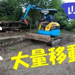 【山開拓】伐採した原木をミニユンボで土場に大量移動！