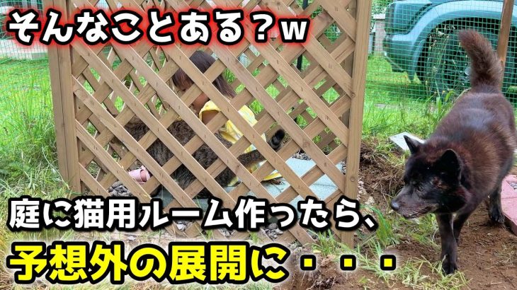 お庭に猫ルーム作った結果・・・【最後に大事なお知らせがあります】【別荘開拓編シーズン５最終話】