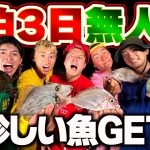 島の魚で最高の晩飯作って1日目乗り切った。【無人島サバイバル】#3