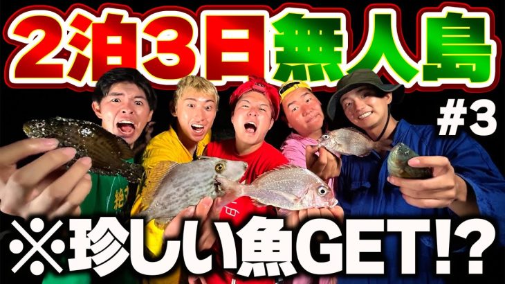 島の魚で最高の晩飯作って1日目乗り切った。【無人島サバイバル】#3