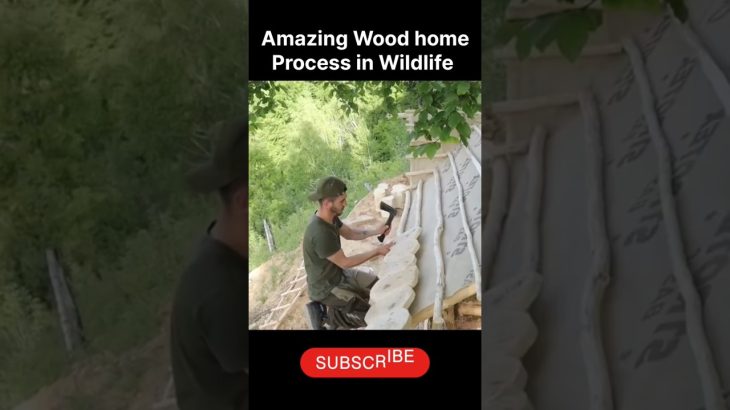 A Man Build a Amazing Wood Home In Wildlife #adventure #wood #bushcraft #survival #survivalskills