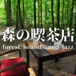 Ambient sounds + JAZZ Gentle Forest sounds Relaxing work/study CAFE MUSIC – BGM for work☕