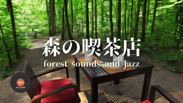 Ambient sounds + JAZZ Gentle Forest sounds Relaxing work/study CAFE MUSIC – BGM for work☕