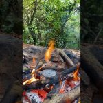 Making Charcoal İn Nature 🪵| #bushcraft #survival #wood #diy #woodworking #nature #camping #outdoors