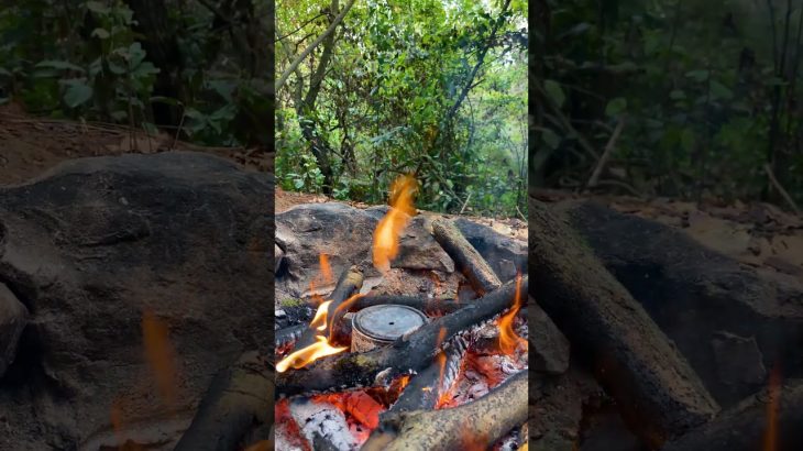 Making Charcoal İn Nature 🪵| #bushcraft #survival #wood #diy #woodworking #nature #camping #outdoors