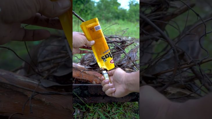 Survival Bushcraft Skills Make Fire After Raining in Forest #camping #Forest #outdoor #bushcaftskill