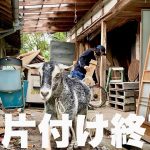 ゴミ屋敷状態の古民家がスッキリしてきた！