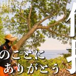 【仲間ができた】竹林開拓、台風の雨漏り補修、落ち葉の詰まり、全てに意味があるんだと思う。