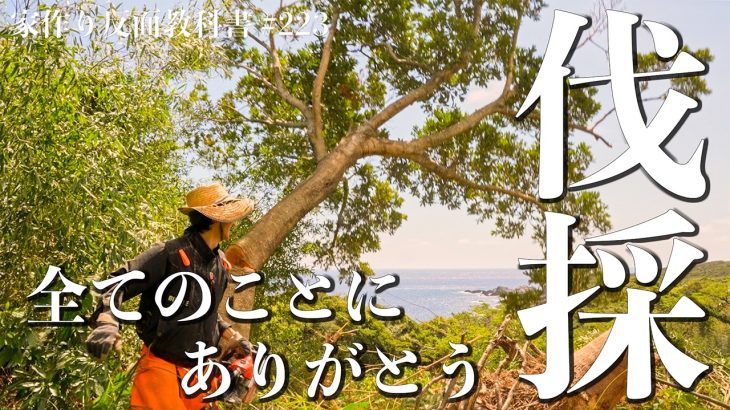 【仲間ができた】竹林開拓、台風の雨漏り補修、落ち葉の詰まり、全てに意味があるんだと思う。