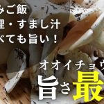 以外に採られない！レアな『白いキノコ』が大量に採れました