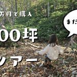 勢いで買った格安の別荘地(山)未開拓前ツアーその1