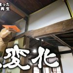 【古民家再生269】ついに洗面所が見違えました!  Restoration of old houses and country life