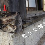 【古民家田舎暮らし #41】廊下の解体を進めていたら土台が腐ってた / 床下の修繕と床リノベ 第１５話