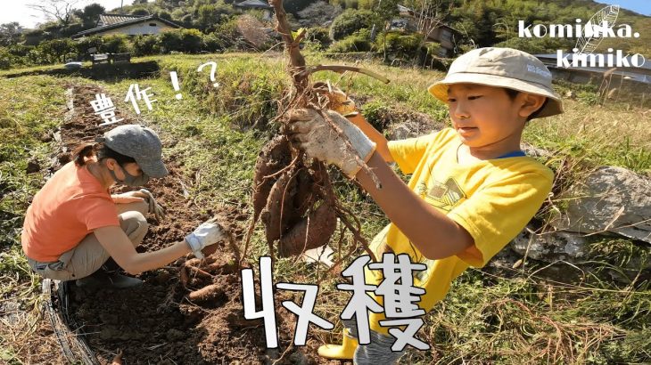 【古民家に住もう#208】豊作の秋〜裏庭の片付け～EcoFlow防災。