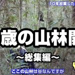 5000㎡の山林を草刈り機とチェーンソーで開拓 ～総集編～