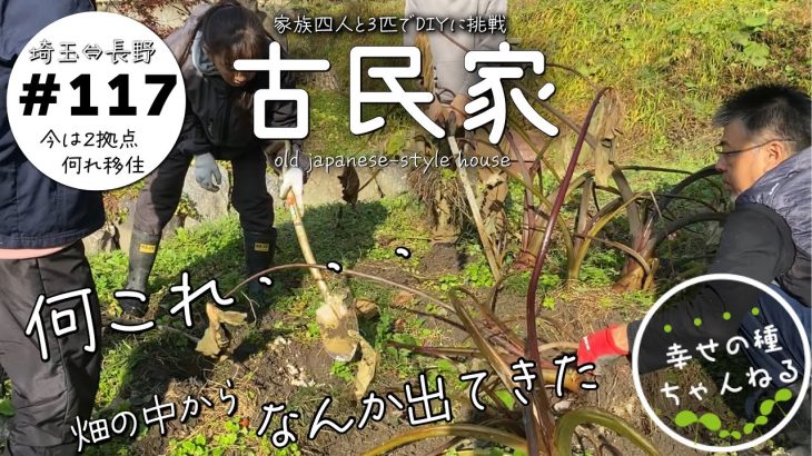 【古民家再生】畑の土の中から変なものが出てきました・・・自然農１年目の畑と２年目の畑の収穫物｜父と息子の洗面・浴室DIY｜我が家で宴会