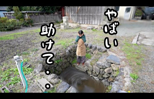 購入した敷地にある池が大変なことになった・・。