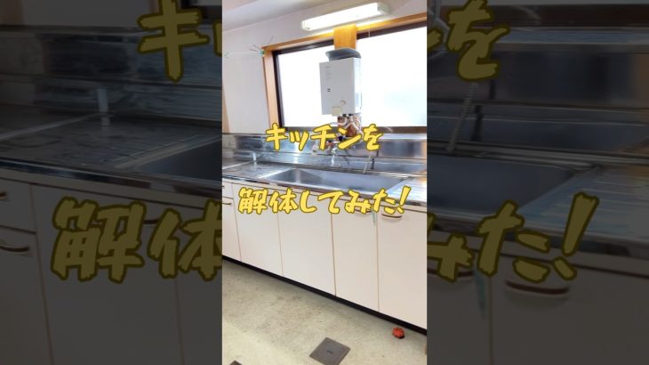 【古民家リノベ】キッチンを解体してみた❗️古いキッチンをリノベーションするために解体したドタバタ動画をどうぞご覧くださいw#古民家#リノベーション#田舎暮らし#diy#解体#キッチン#ガーデンシンク