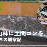 《DIY》秋の山林に土間コンクリートを打設しよう！｜猫たちの観察記［vol.222］