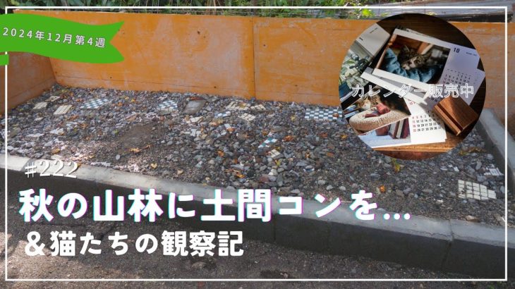 《DIY》秋の山林に土間コンクリートを打設しよう！｜猫たちの観察記［vol.222］