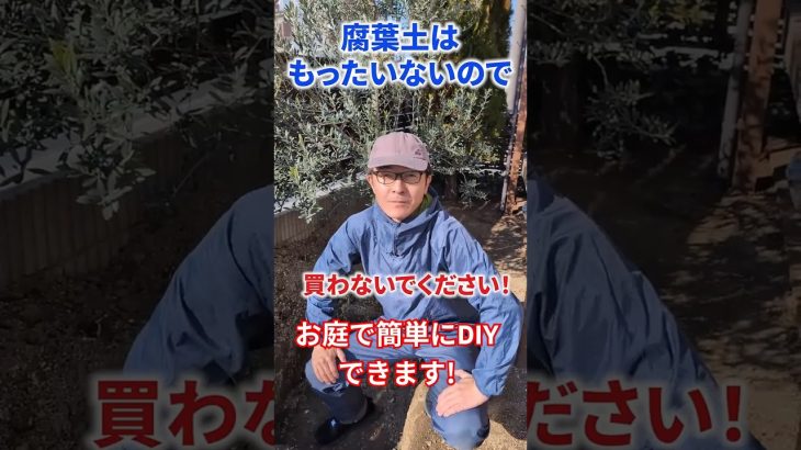 【腐葉土】0円で最高の落ち葉堆肥ができます！