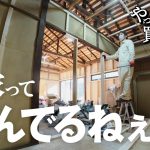 【作業79日目】DIY！今年も頑張ります。フラットな壁までの道のりが長すぎる件。