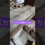 【古民家リノベーション】手抜き工事で詐欺られた物件!DIYて素人が解体作業 #リフォーム #リノベーション