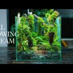 i made a mossy forest with a flowing stream | here’s how!