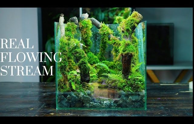 i made a mossy forest with a flowing stream | here’s how!