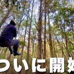 山小屋を建てるために、山の開拓を始めます！