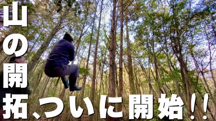 山小屋を建てるために、山の開拓を始めます！