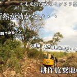 【極寒】耕作放棄地の復活半ばに、重機が止まりました。#240