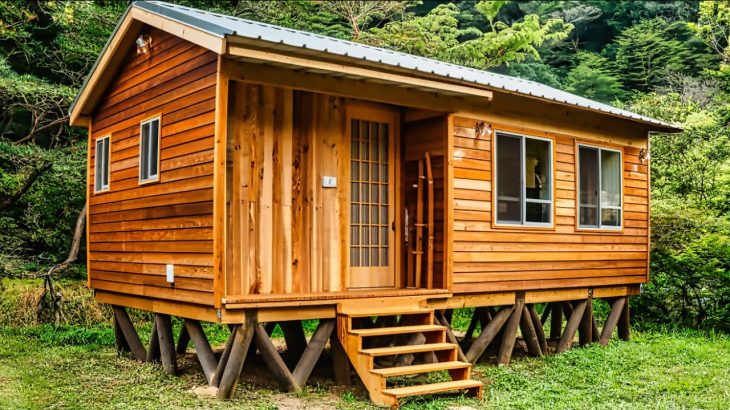 Living in the Forest for $3,000 – Tiny DIY Cabin Build Challenge! (by @WildGnomos )