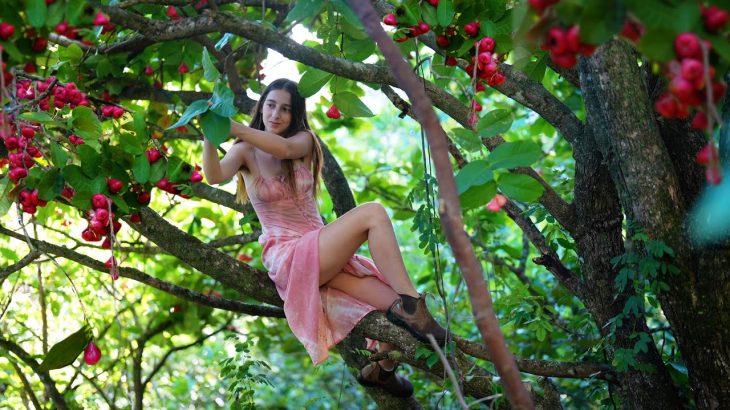 Summer Harvests in a Magical Food Forest