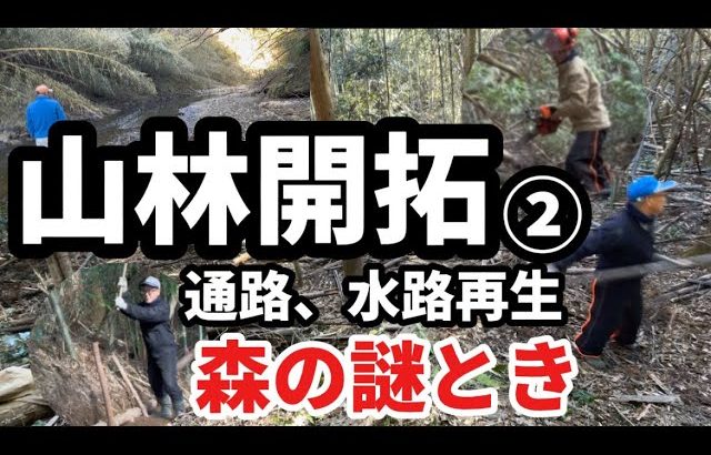 山林開拓② 通路、水路再生、森の謎とき、先人の知恵