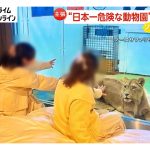 “日本一危険な動物園”に事実上の閉園命令…「市街化調整区域」に無許可で営業　アザラシと泊まれるコテージには動物虐待の議論も【ソレどう？】