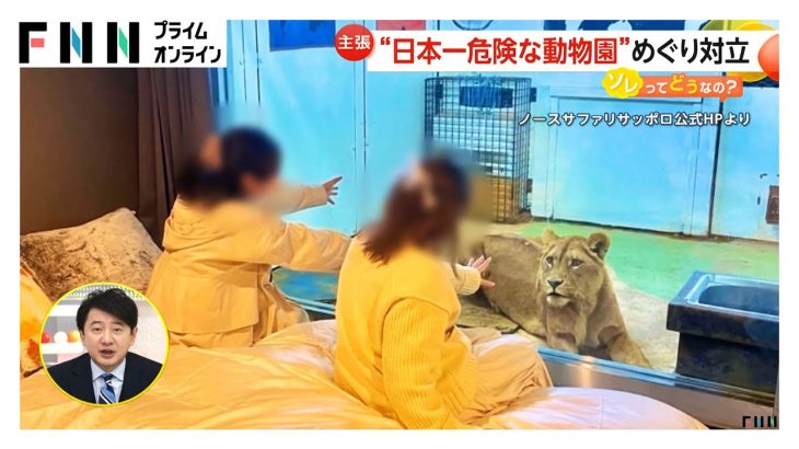 “日本一危険な動物園”に事実上の閉園命令…「市街化調整区域」に無許可で営業　アザラシと泊まれるコテージには動物虐待の議論も【ソレどう？】