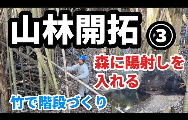 山林開拓③ 森に陽射しを入れる　竹で階段づくり　水路、竹やぶ整備