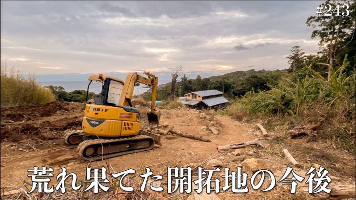 荒れ散らかした開拓地を畑に戻す、新しい建設予定地計画。今年は激減のみかん収穫!! #243