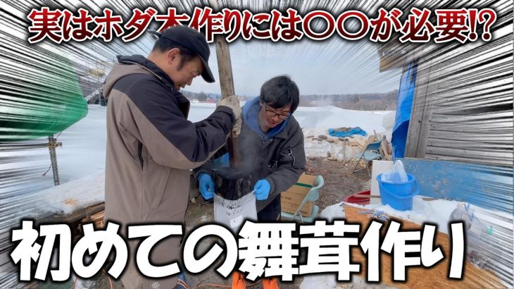 【古民家再生308】一から舞茸作ったら想像以上に大変だった！Restoration of old houses and country life