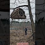 :** 🏕️ Alone in the Wild: Building a REED NEST Shelter  🌿   #SurvivalSkills#Survival Bushcraft#