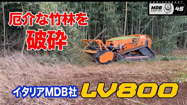 竹害 竹林被害 竹林伐採 MDB LV800 で解決