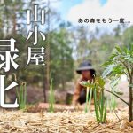 #35 山小屋に木漏れ日の森を取り戻す【そうだ、畑を作ろう】家庭菜園にチャレンジ