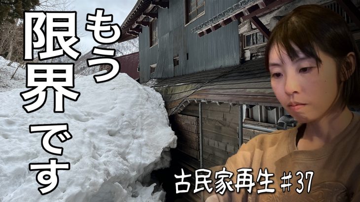 ここまで頑張ってきましたが、もう無理かもしれません…【古民家再生♯37】