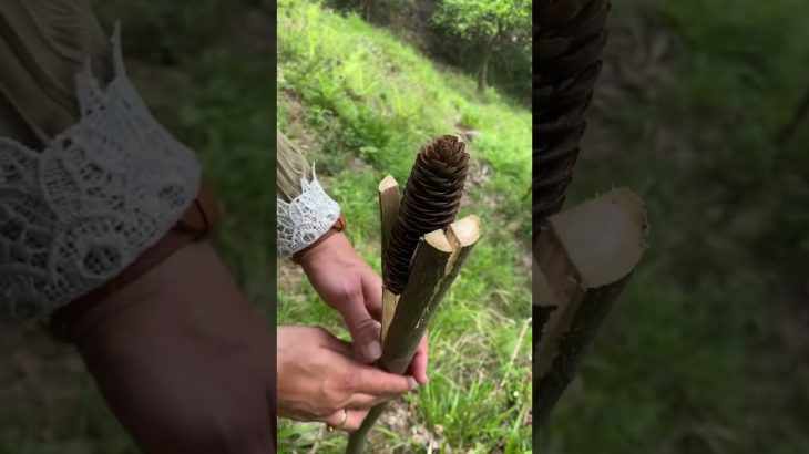 How to make a torch in the forest🔥#shorts #short #tiktok #survival #lifehacks #camping